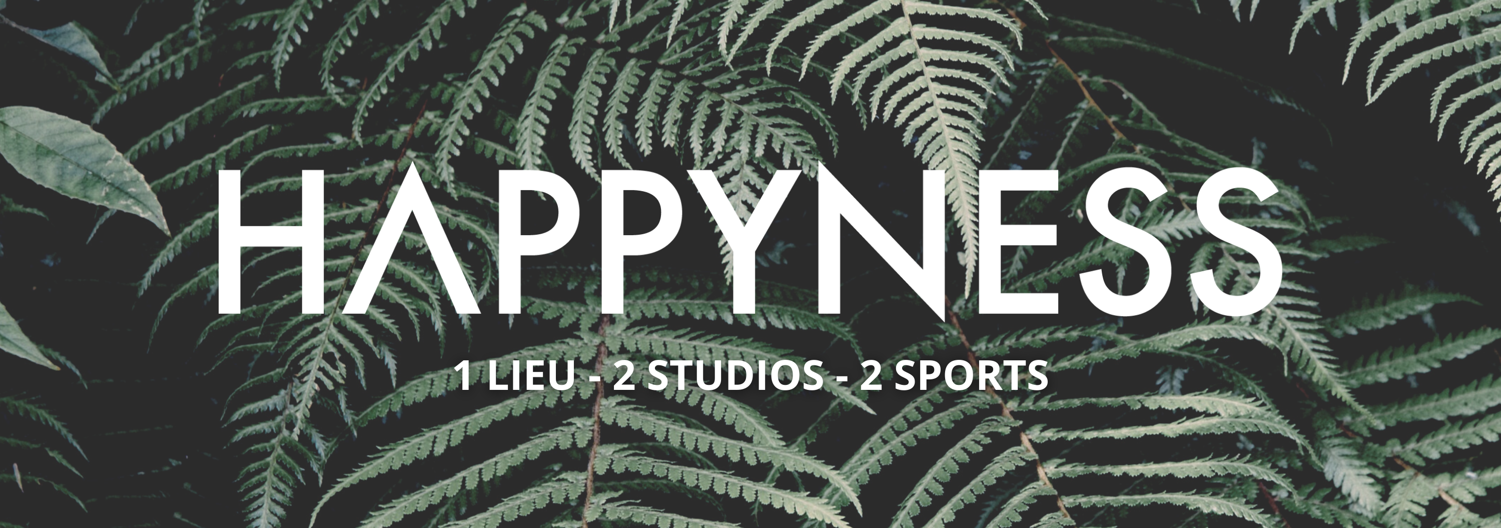 Fern Fronds Tumblr Banner